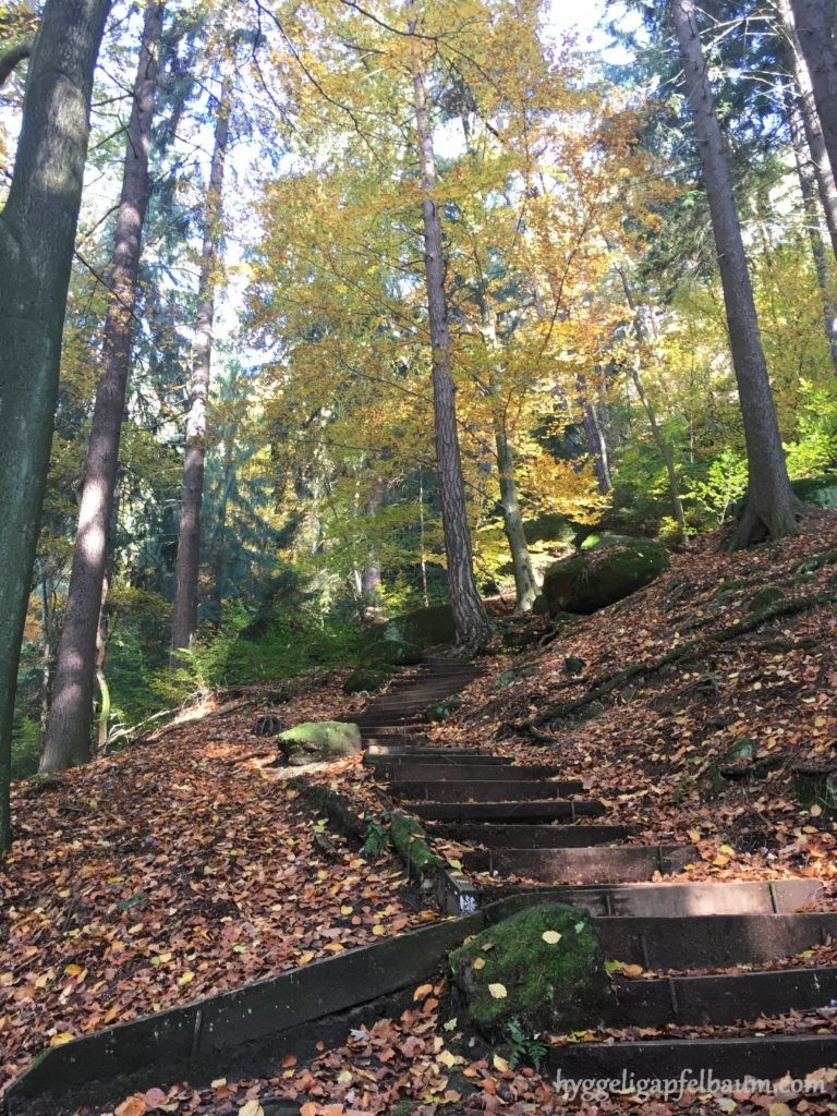Hiking trail_Schrammsteinaussicht