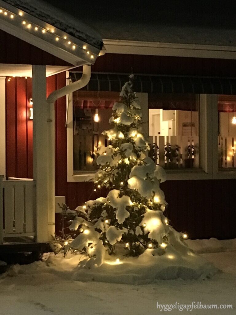 Christmas tree in town