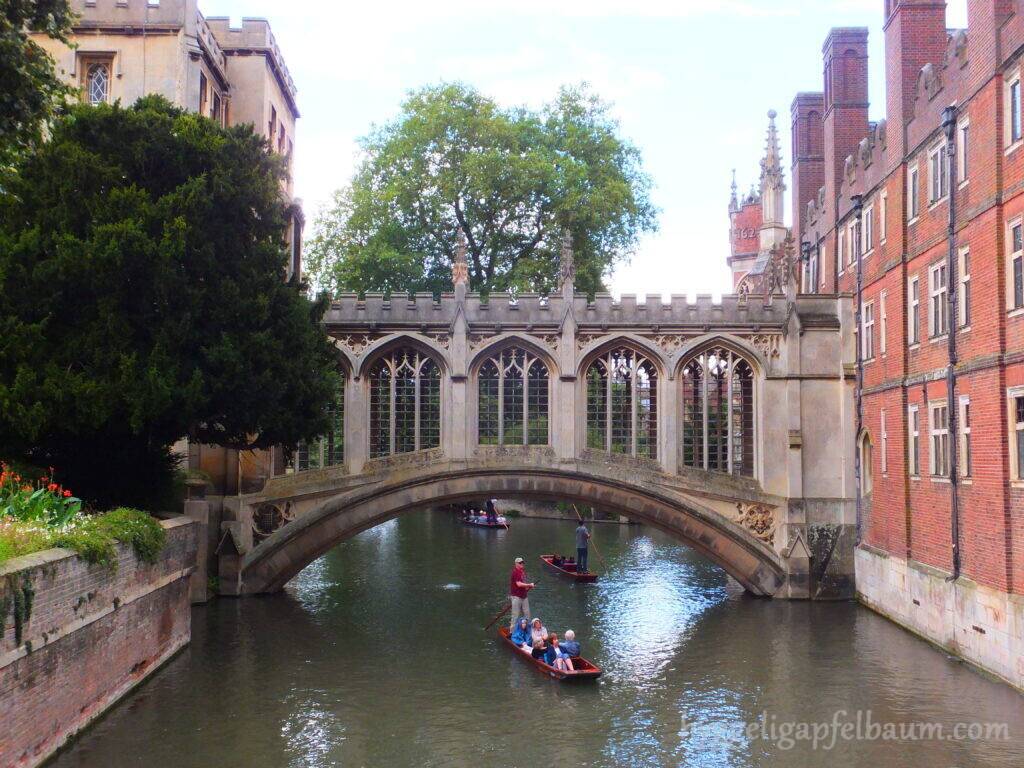 Cambridge_Bridge of Sighs
