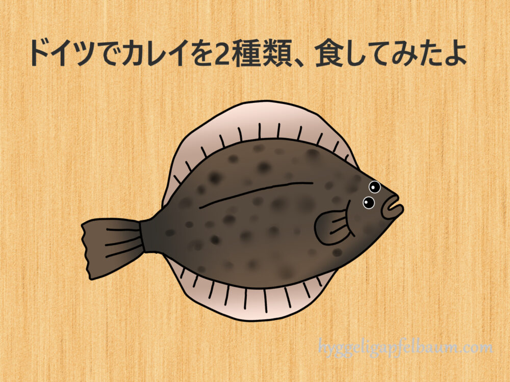 ドイツでカレイの煮つけ