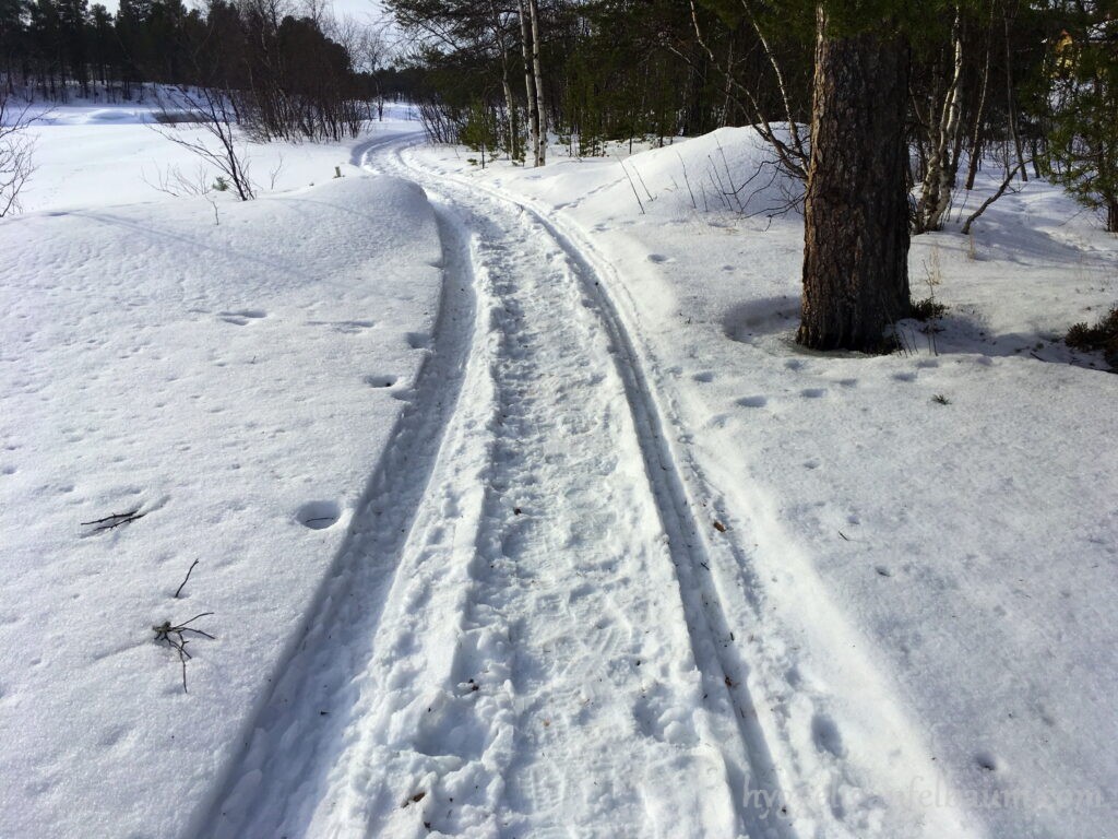 inari-trail